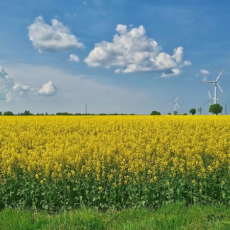 Agroturystyka Nowy Kraków Jezyce Exterior foto