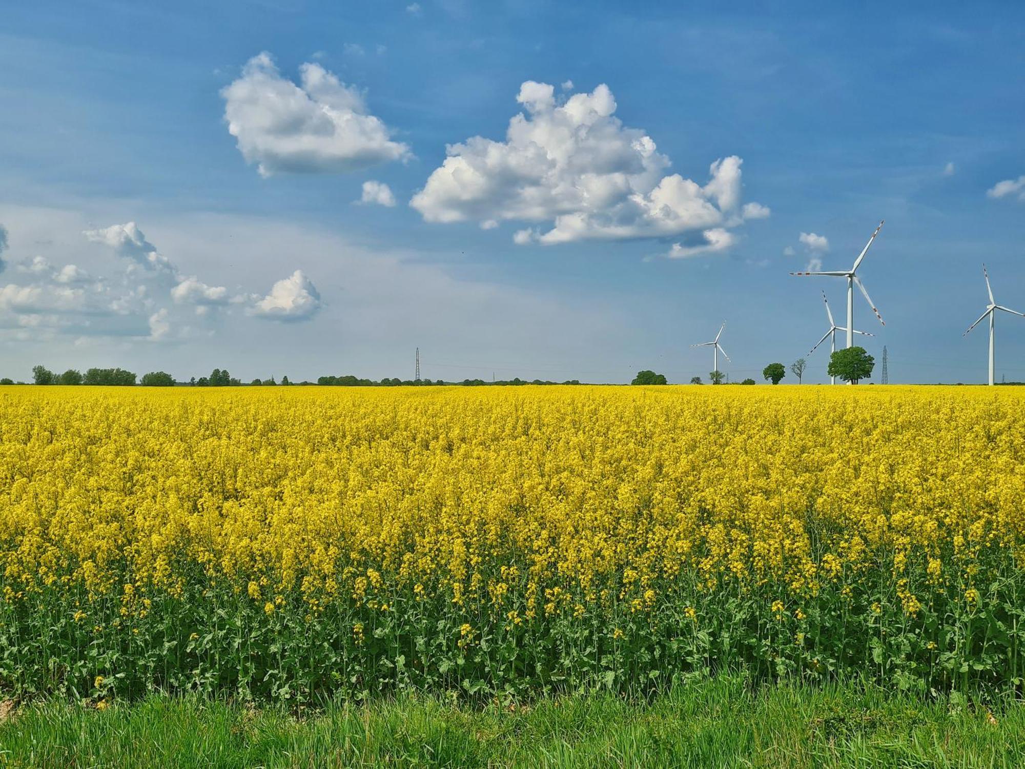 Agroturystyka Nowy Kraków Jezyce Exterior foto